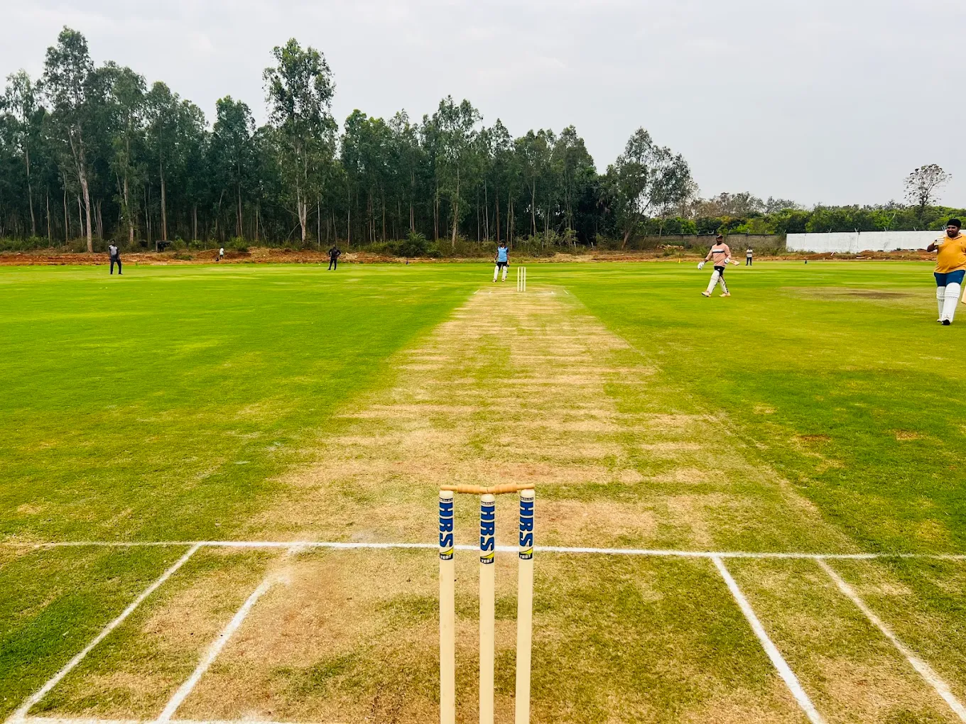 MSK-CDCC International Cricket Academy thumb 2