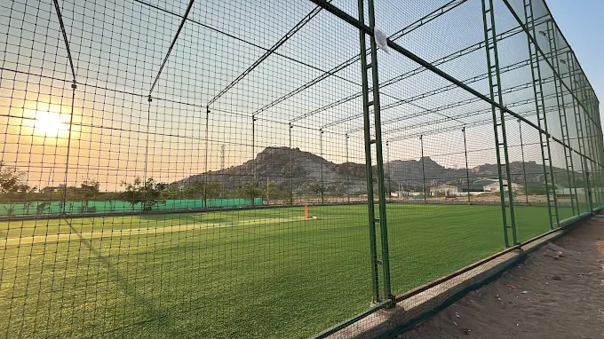 Power Play Turf thumb 3