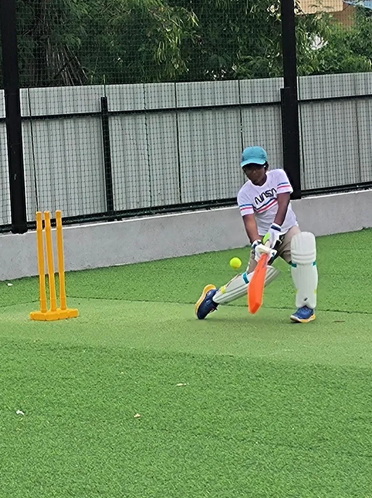 AB Box cricket photo 2