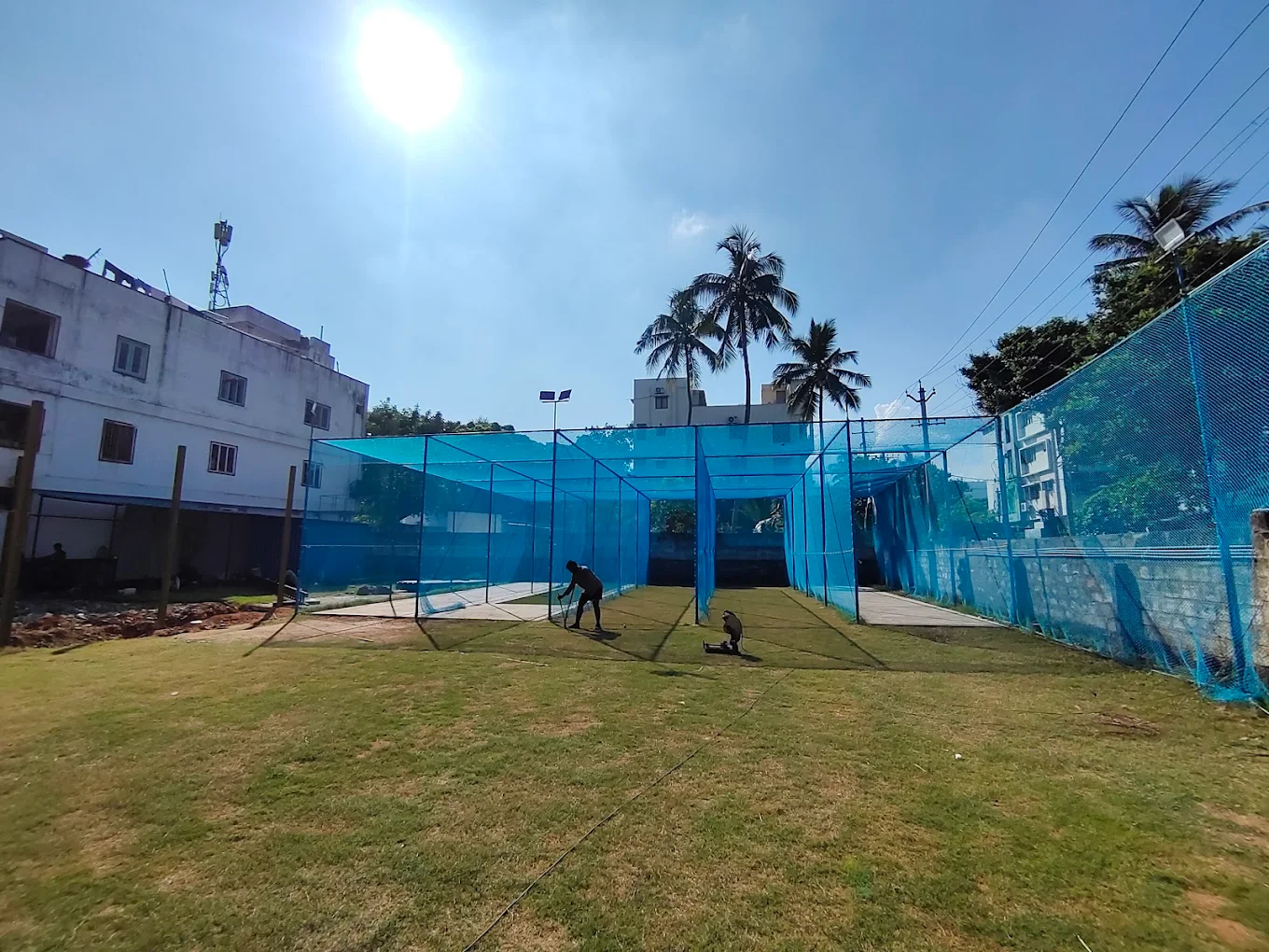AG Cricket Academy photo 2