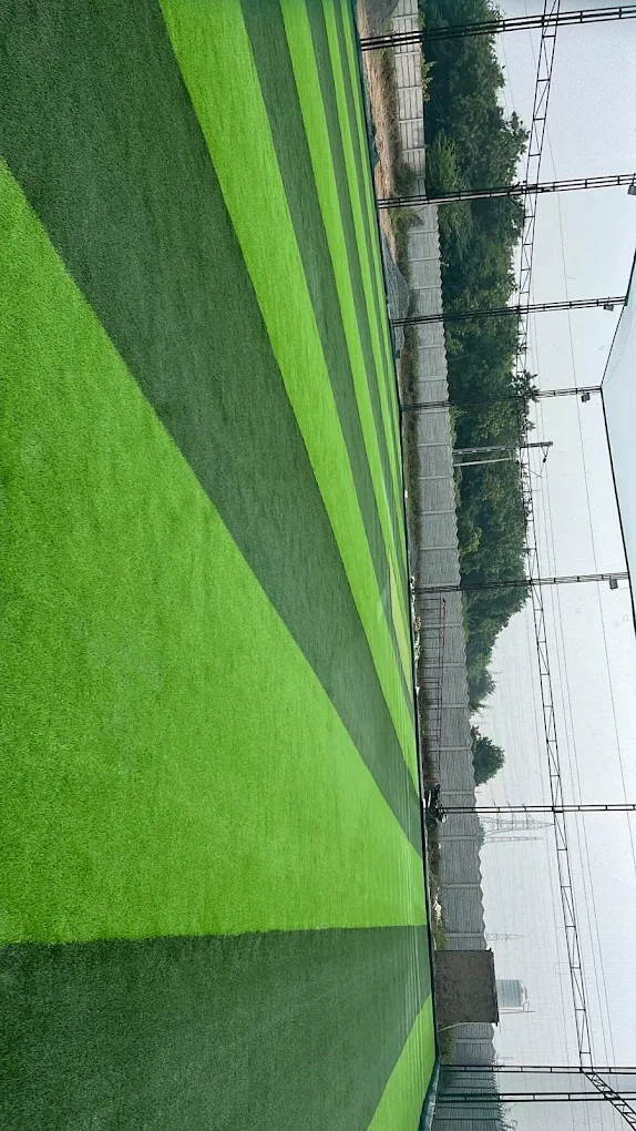 AR Arena