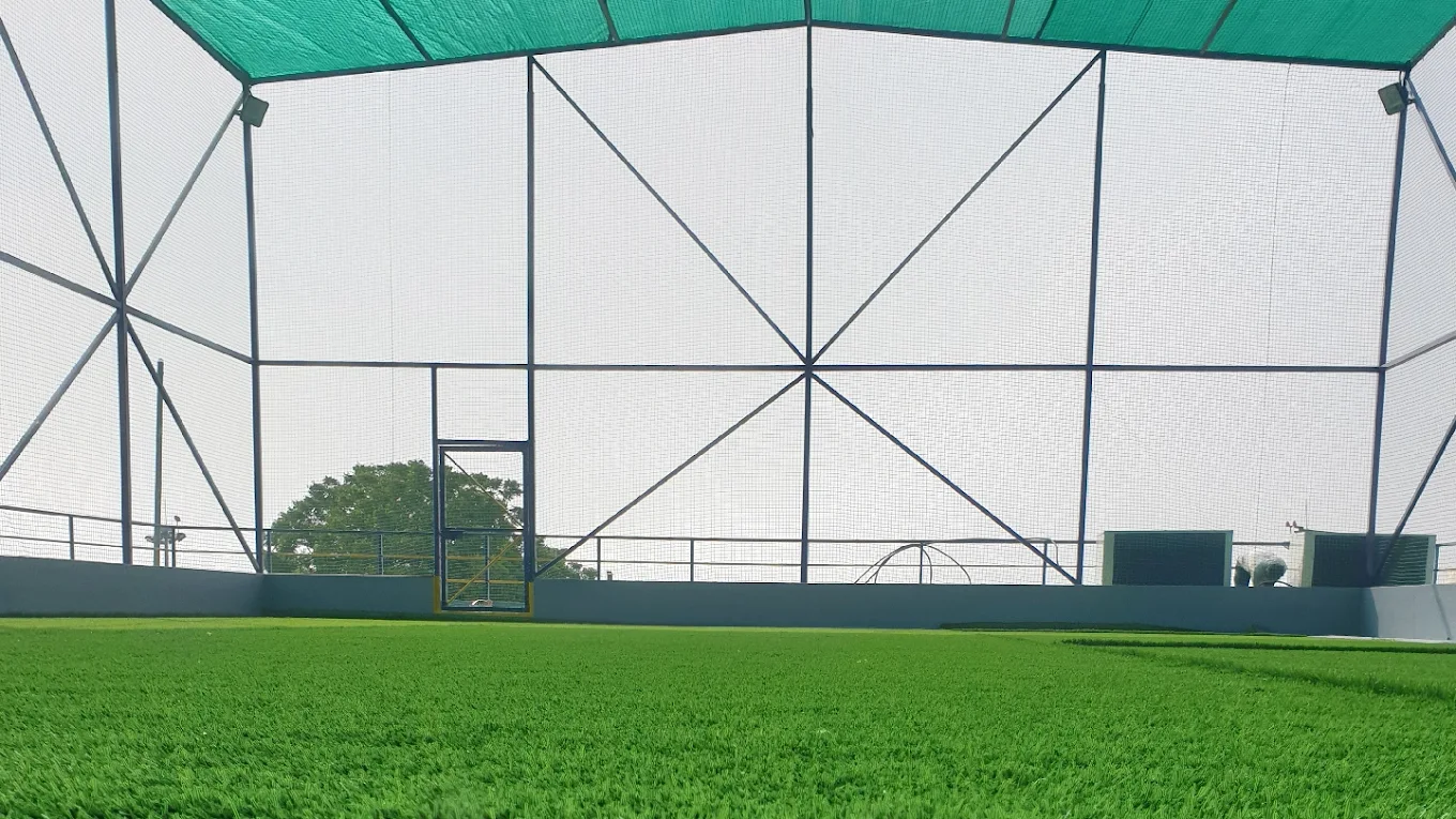 Crazy Turf