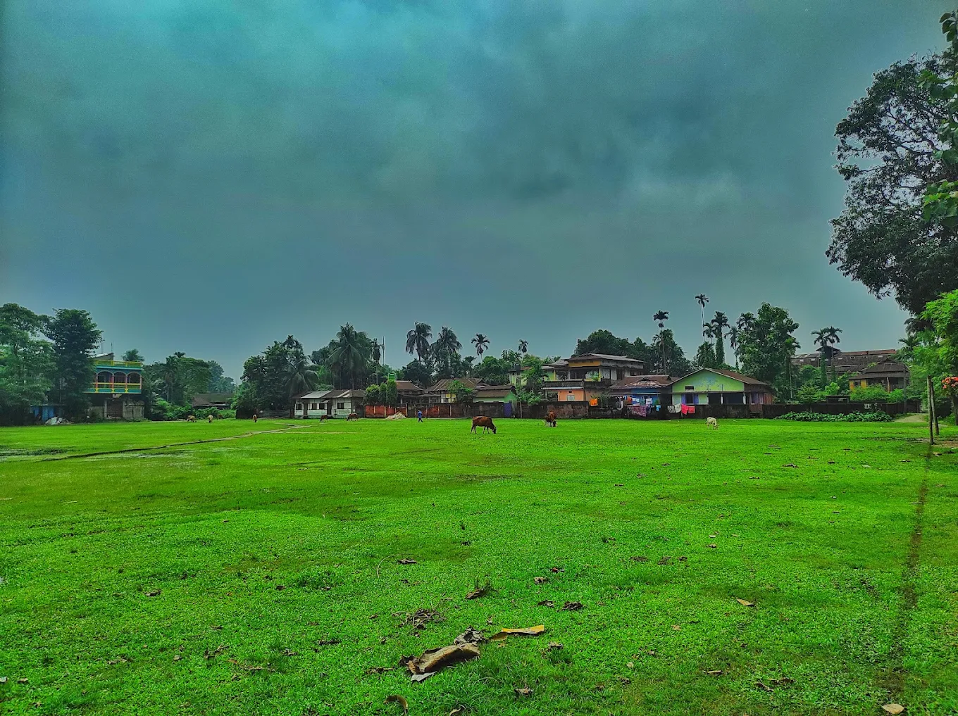 Academy Cricket Ground photo 2