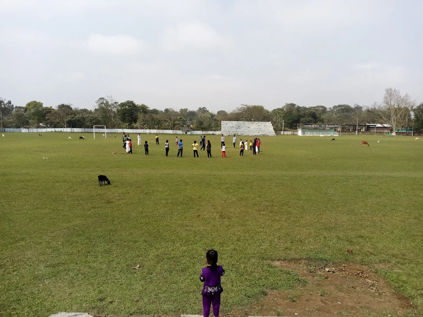 Amguri Mini Stadium photo 3