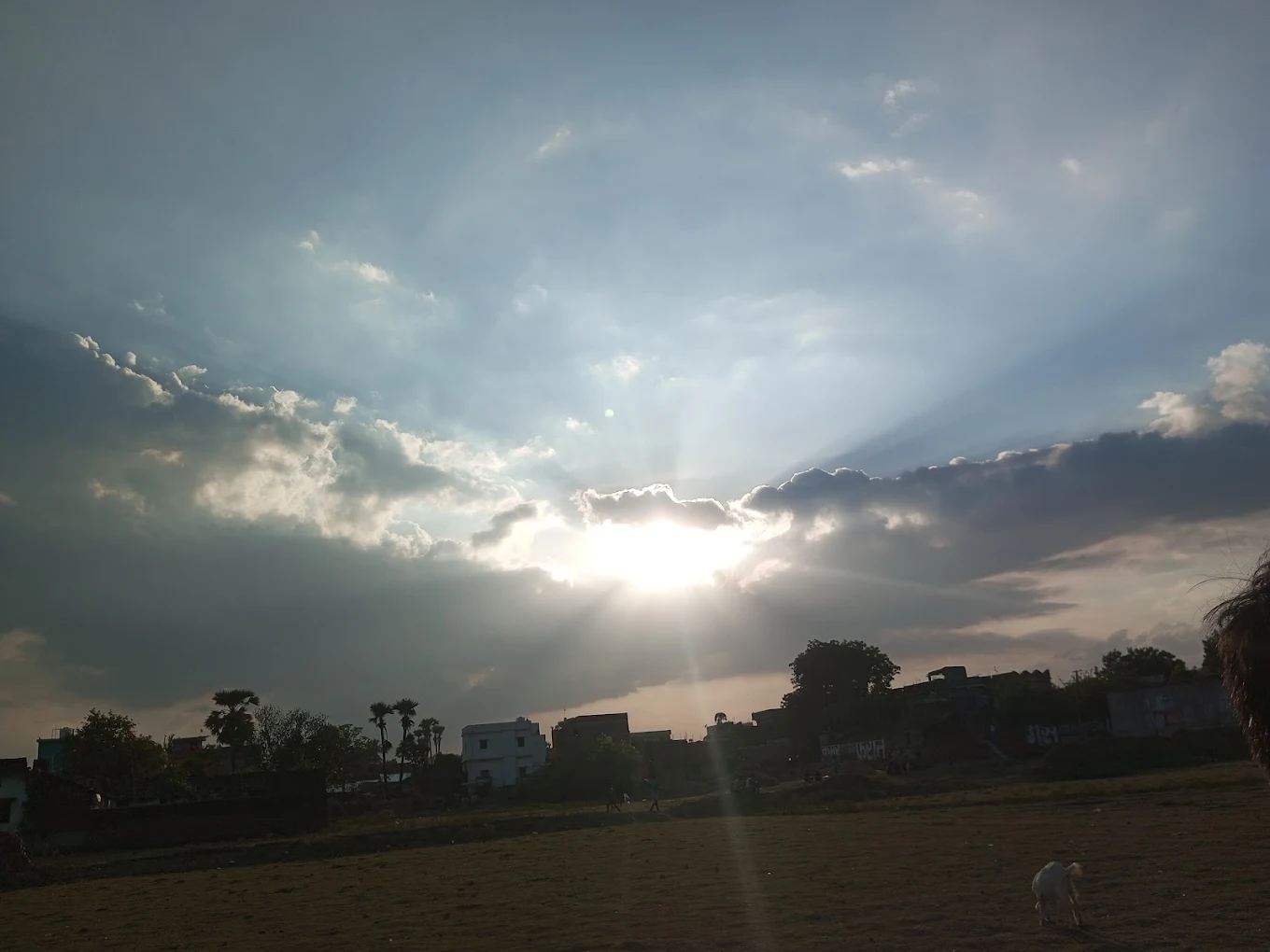 Akki Cricket