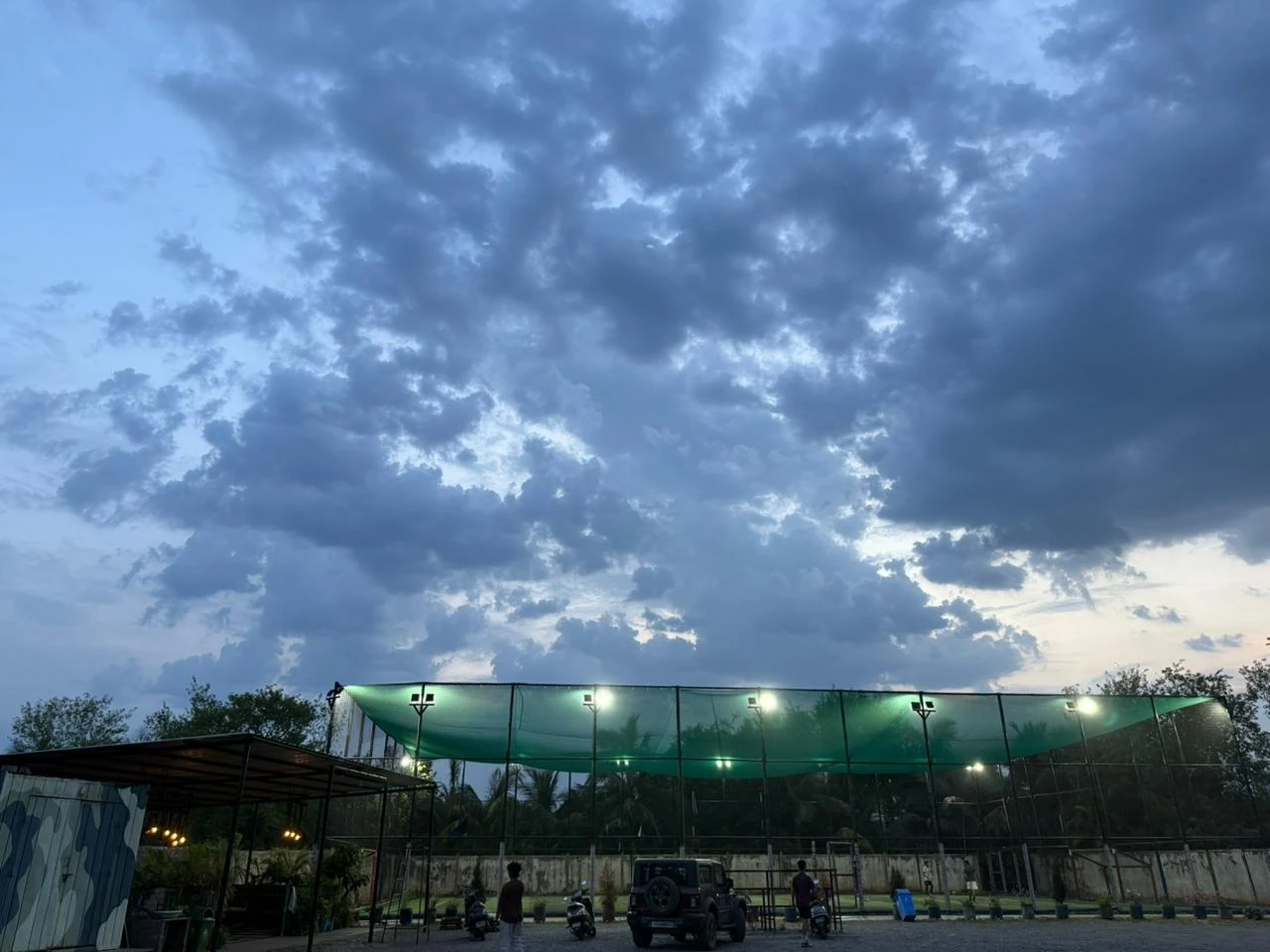 Backyard Turf thumb 3