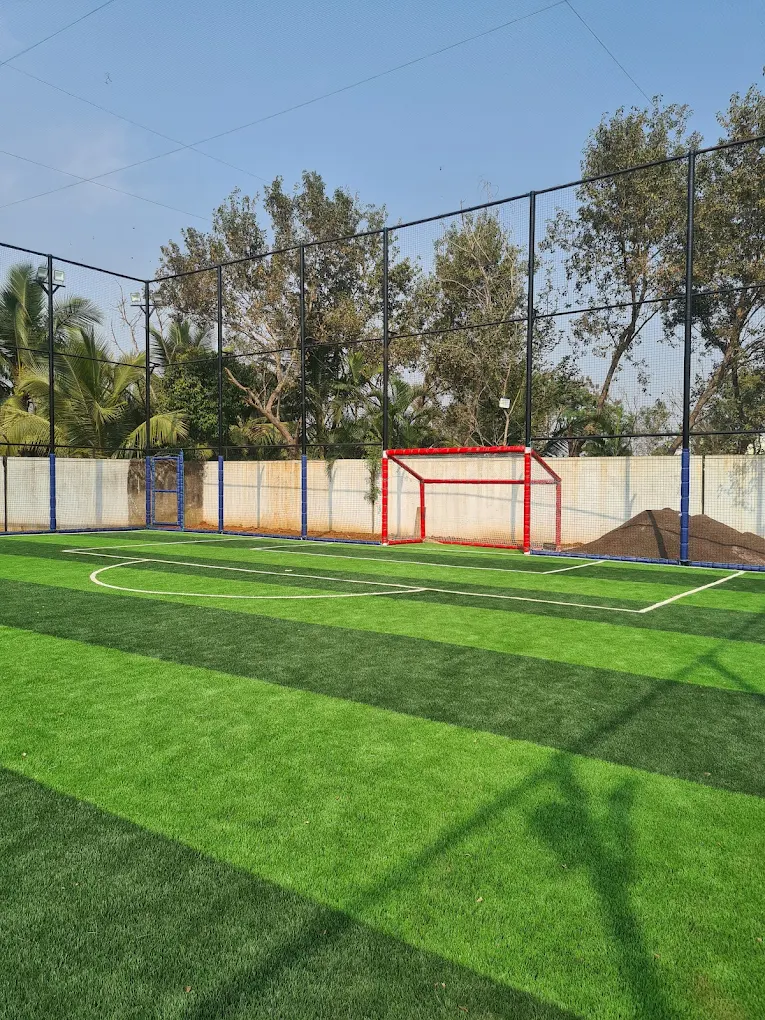 Backyard Turf thumb 2