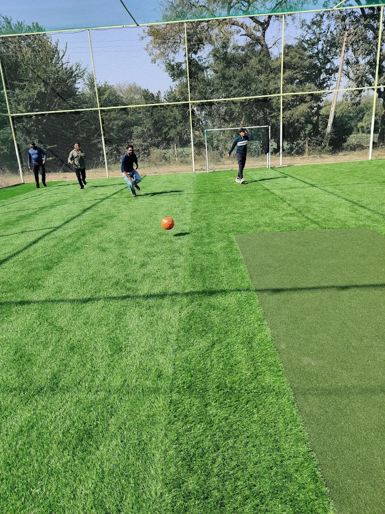 Brahmani box cricket thumb 2