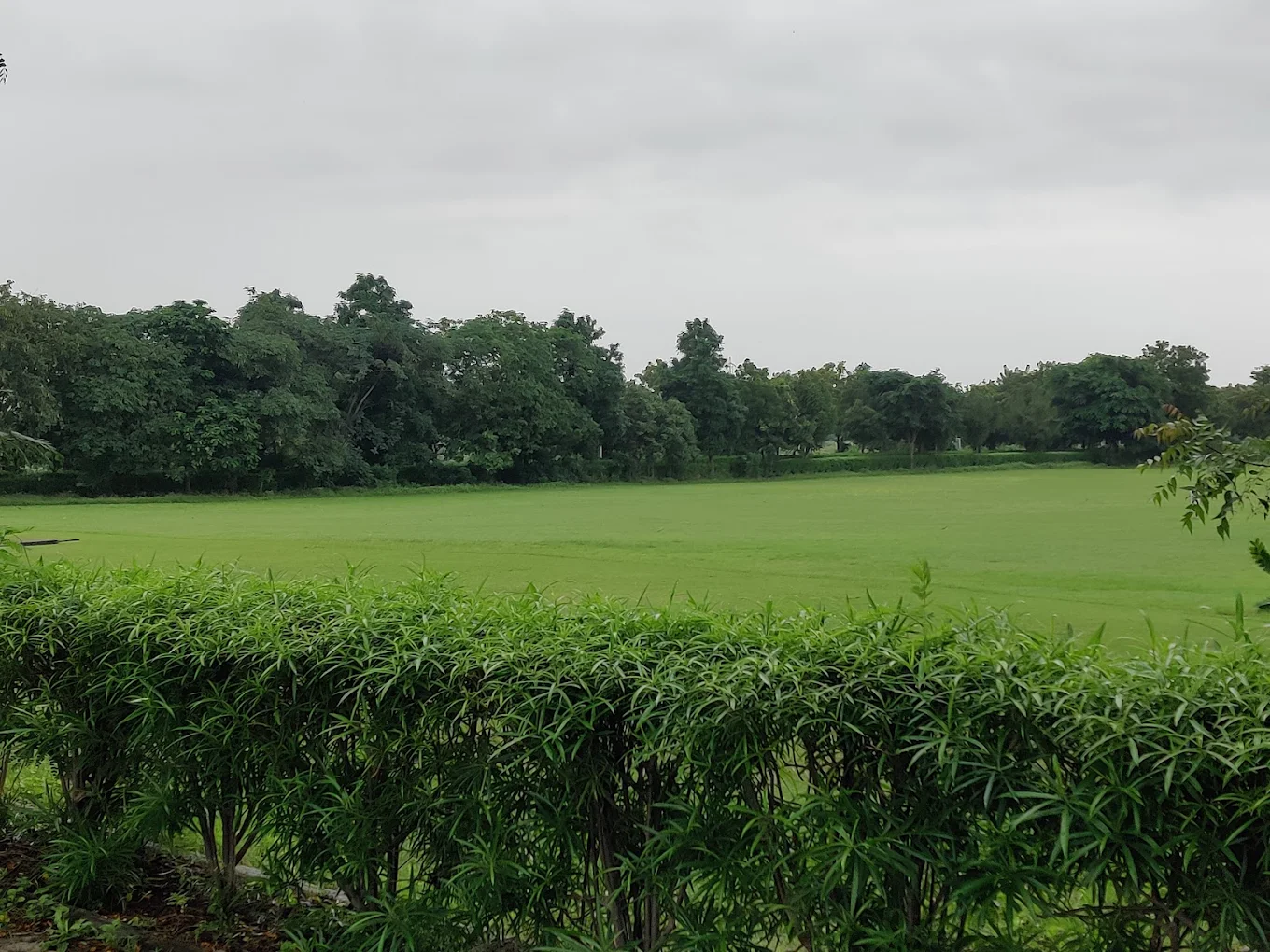 Club Mahindra Kensville Golf Resort, Ahmedabad, Gujarat thumb 4