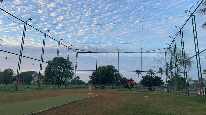 NOTOUT BOX CRICKET thumb 2