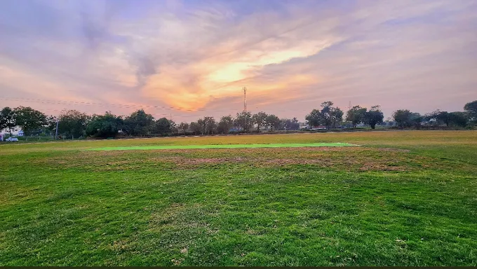 SKY SPORT CRICKET ACADEMY NAPA thumb 2