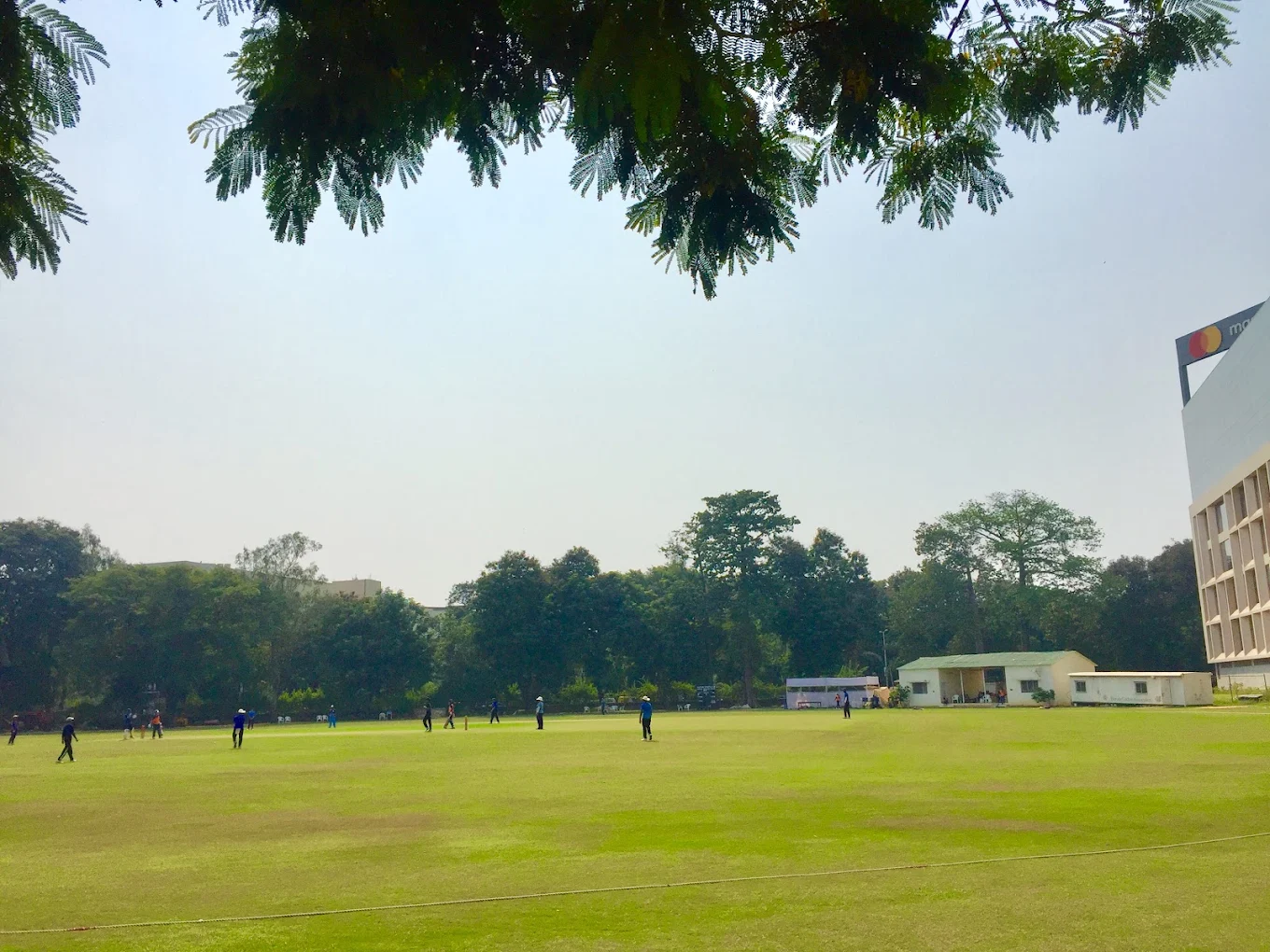 Alembic Cricket Ground photo 3