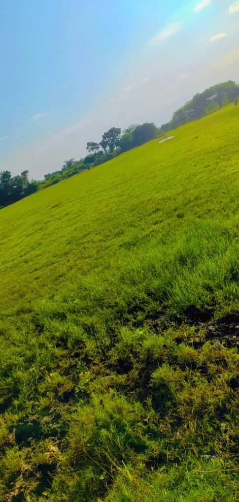 Alura Cricket Ground