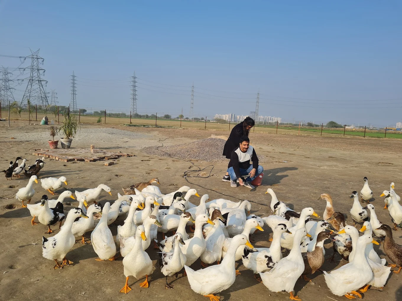 Balls Of Fire - Cricket Ground | Cricket Stadium in Gurugram