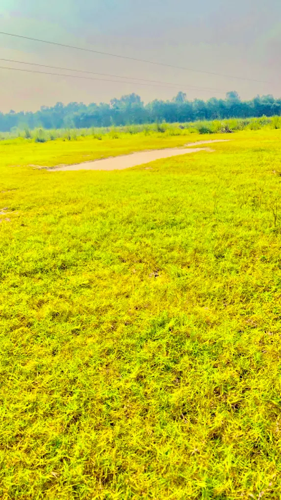 Alisherpur Majra Cricket Ground