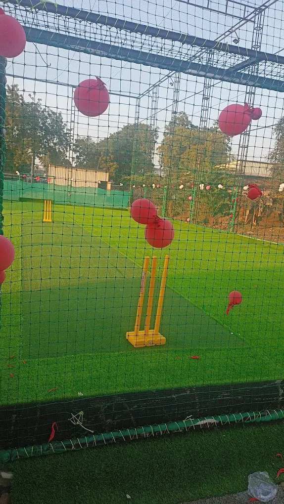 Arena cricket turf photo 3