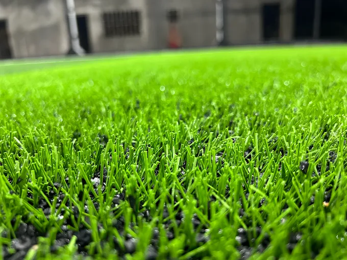 Nishu sports legacy thumb 3