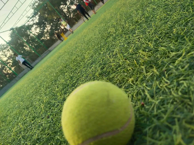 The Rising stars Ravet thumb 4