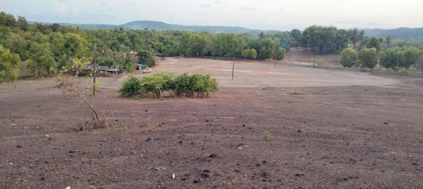 ABBAS & GAFFAR MUJAWAR'S FARM photo 2