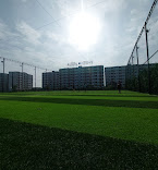 Aman Turf
