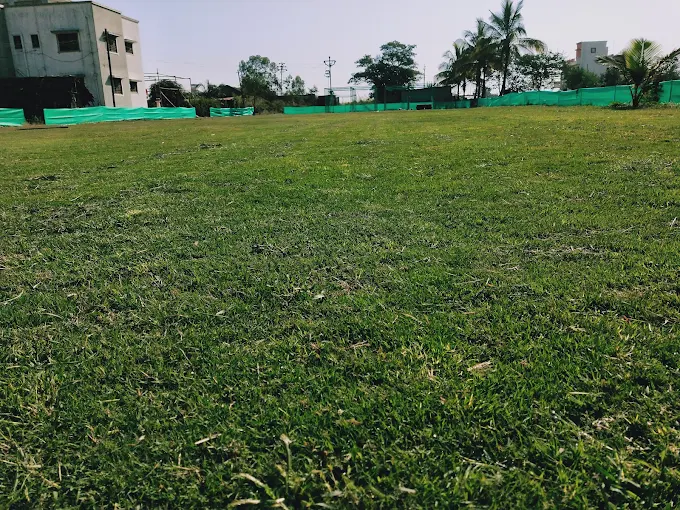 PM Cricket Academy thumb 1