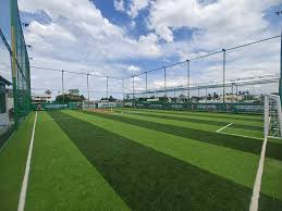 Powerplay - Multi Sport Turf thumb 2