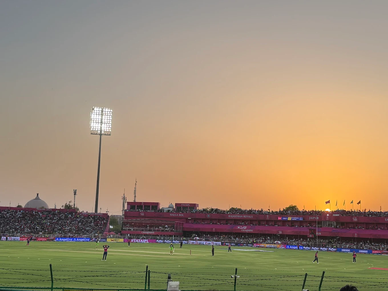 R.C.A Cricket Academy thumb 2