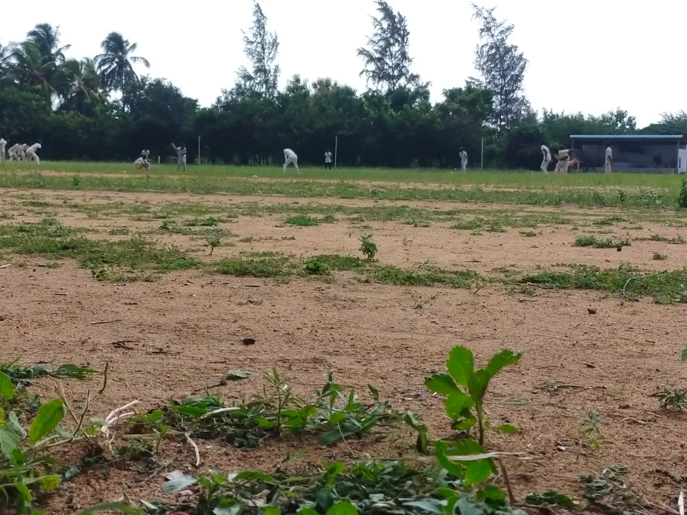 Attica Sports & Attica Cricket Academy photo 2