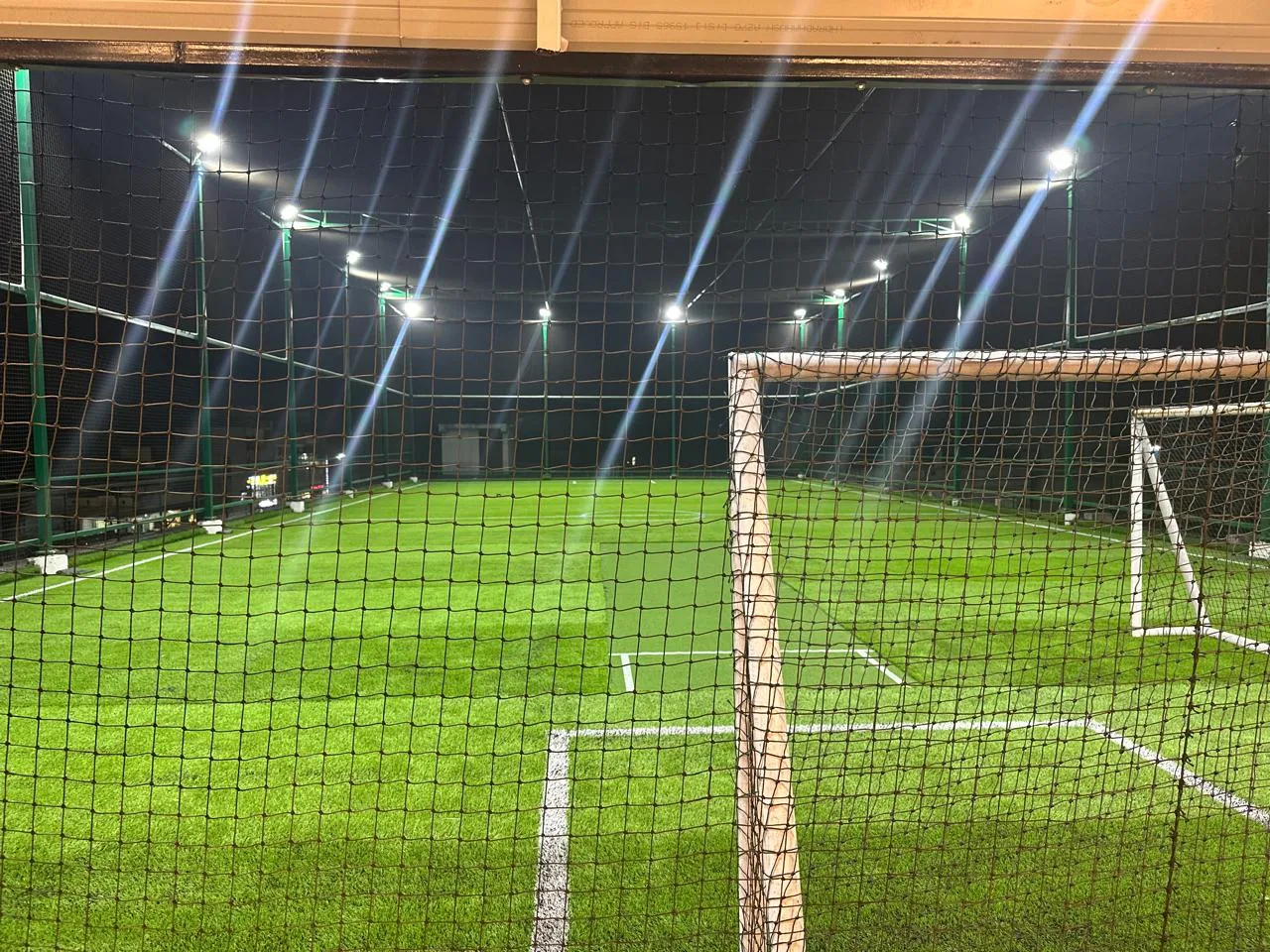 2Win Sports Arena Turf photo 2