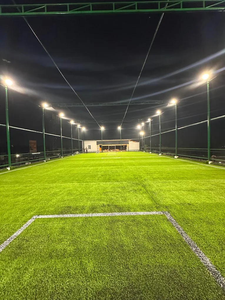 2Win Sports Arena Turf