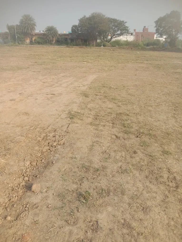 85 Cricket Ground