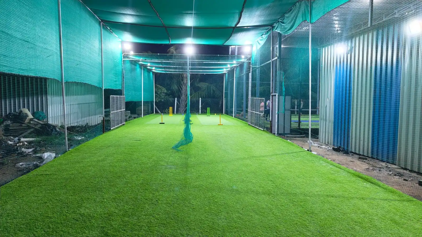 Dream Destination turf