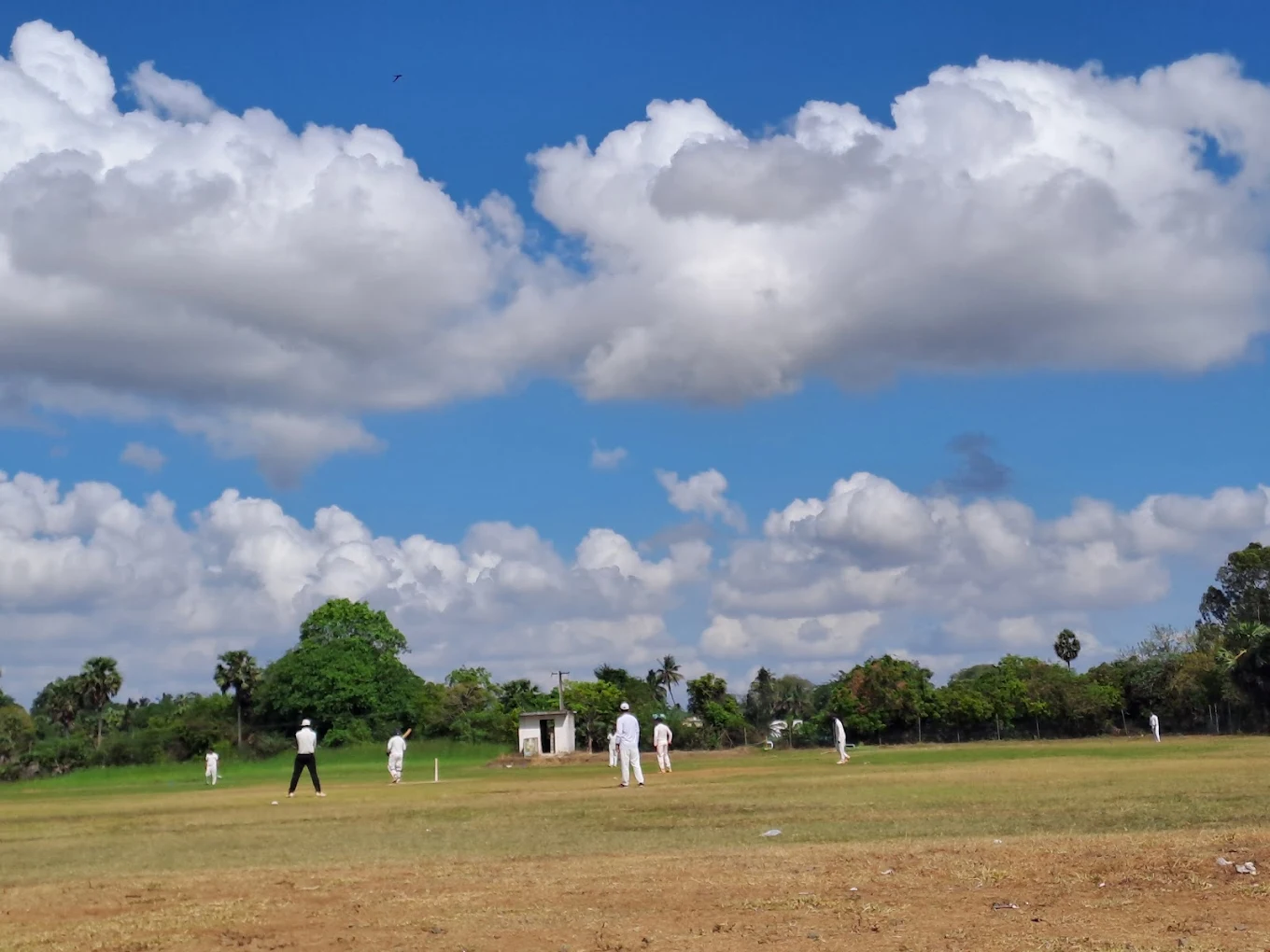 MSD Elite Sports Zone