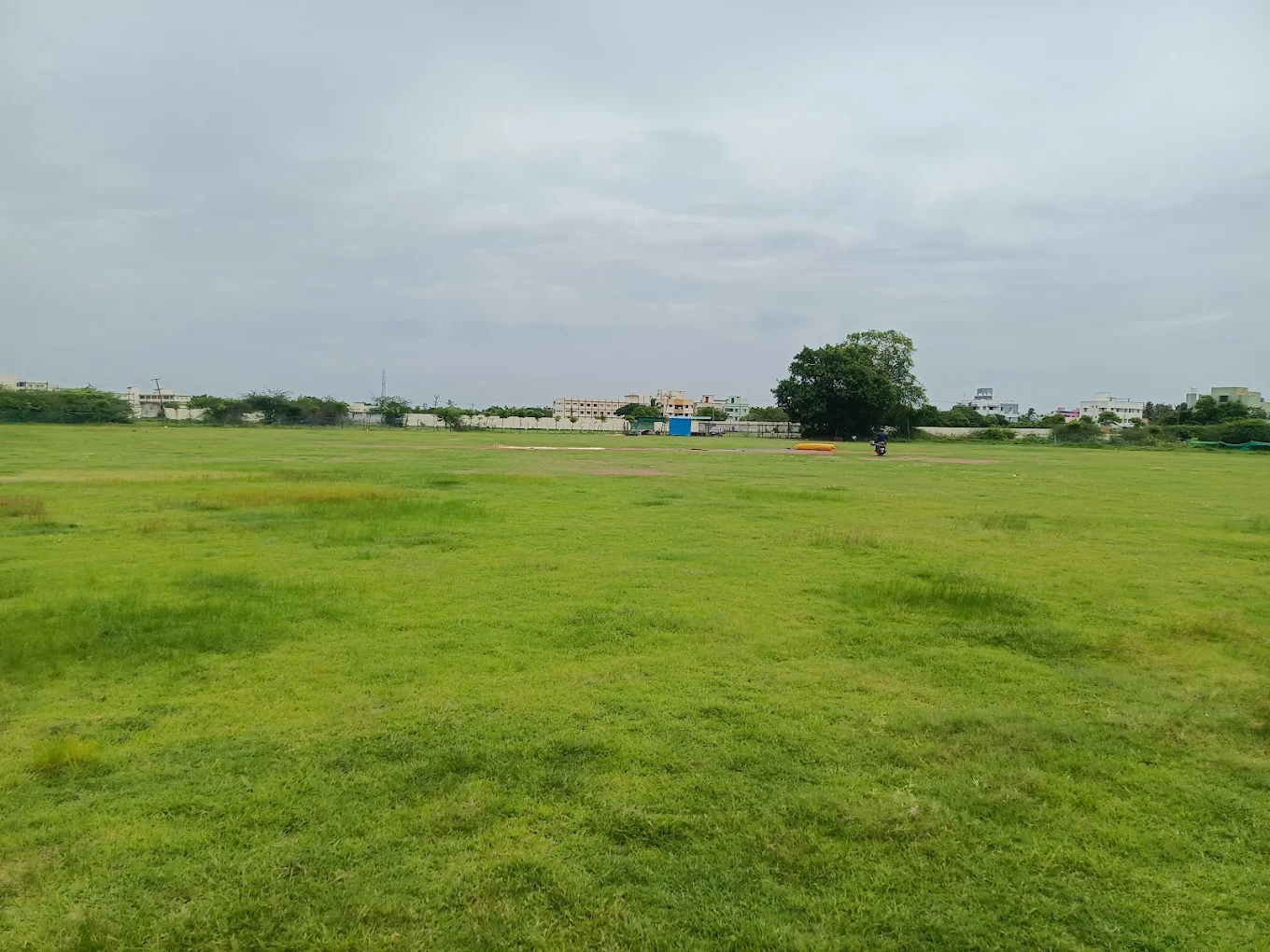 POG - LEGENDS cricket ground thumb 3