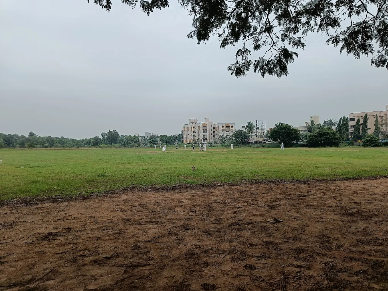 QMC Cricket Ground thumb 1