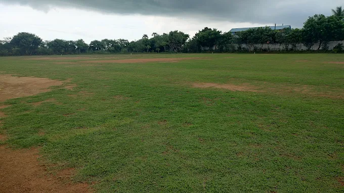 SM-CRICKET ZONE thumb 2