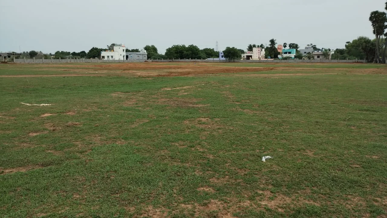 SP Green Cricket Ground thumb 5