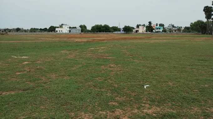 SP Green Cricket Ground thumb 3