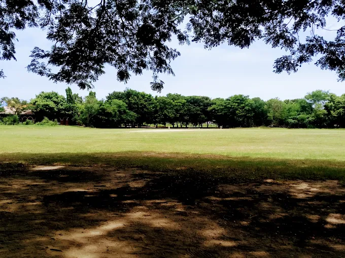 SRF Cricket Ground thumb 4