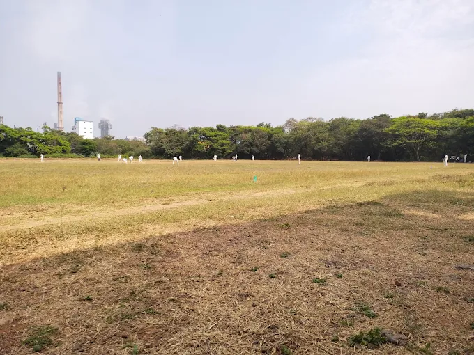 SRF Cricket Ground thumb 1