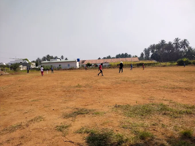 Saina cricket academy