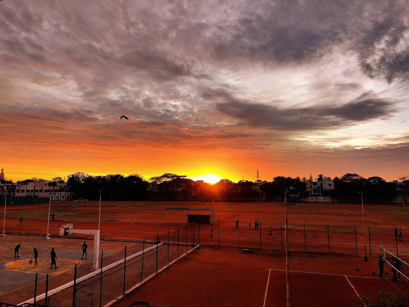 Tharuvai Sports Complex thumb 3