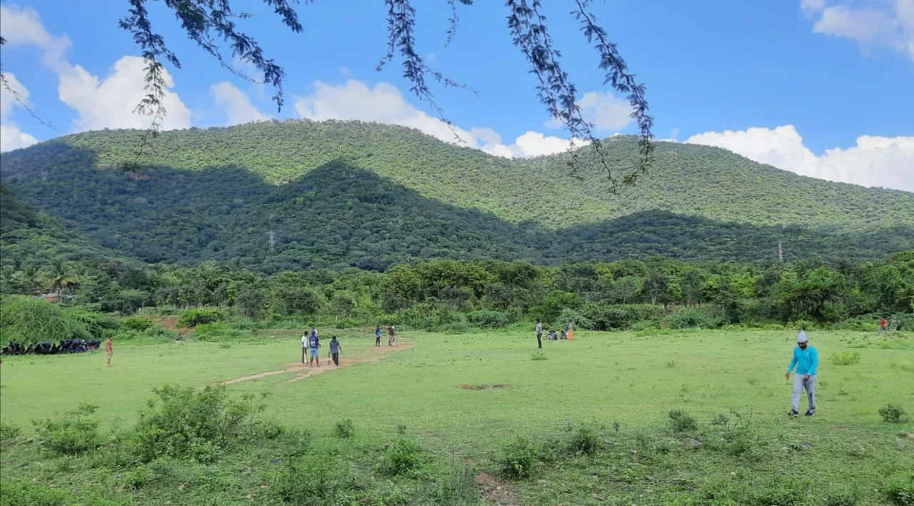 Velliankadu cricket grassland thumb 1