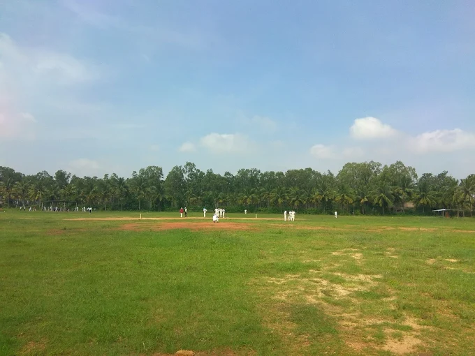 We Coach Cricket Academy thumb 4