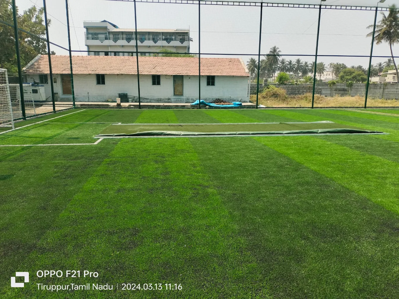 ACE SPORTS TURF photo 2