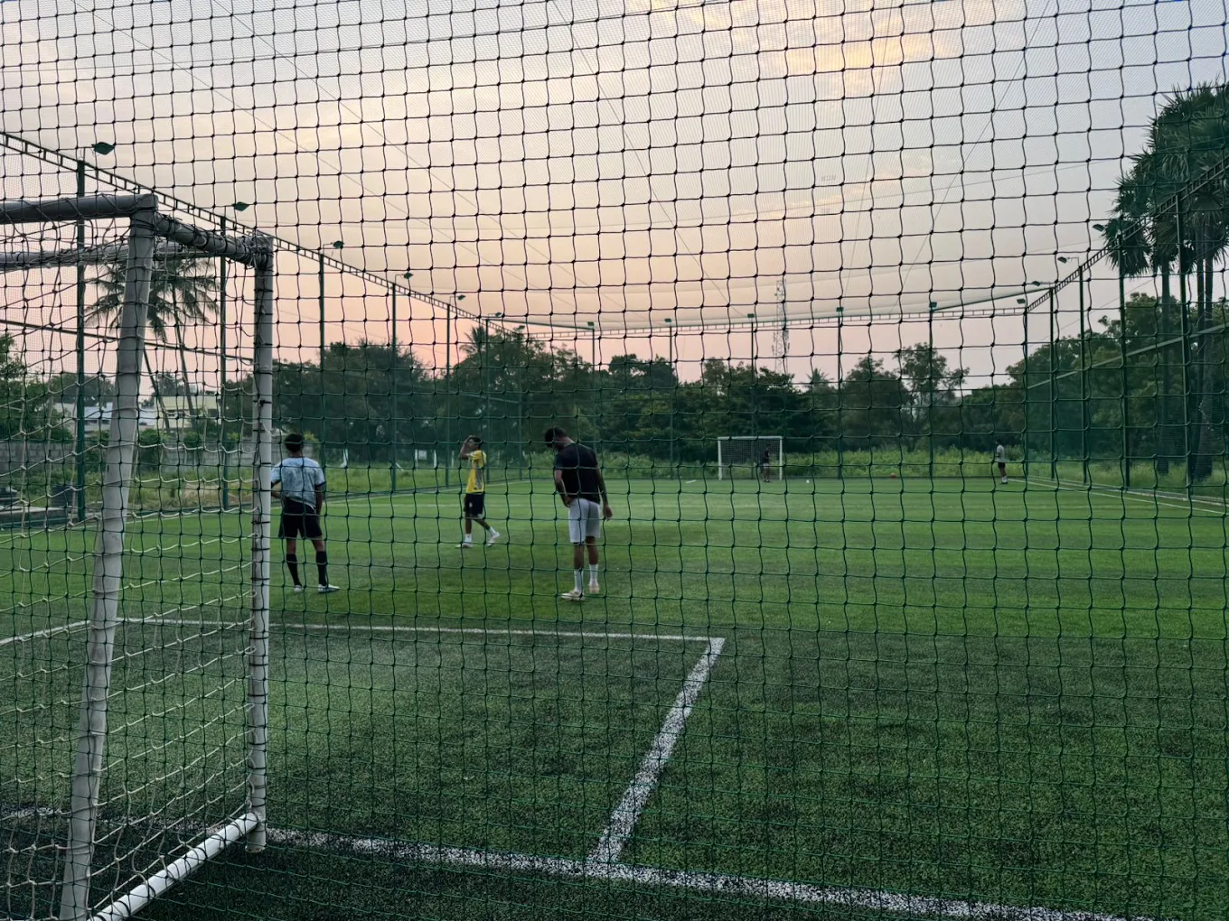 ACE SPORTS TURF