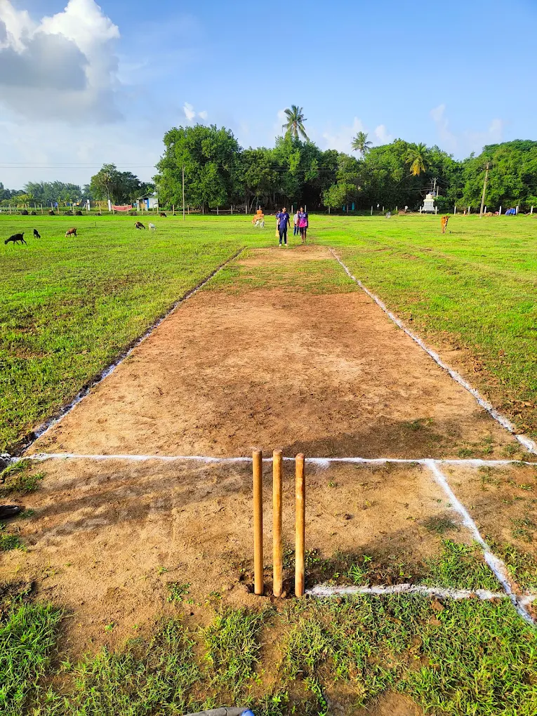 Alaveli cricket ground photo 2