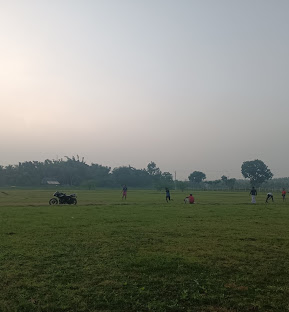 Alaveli cricket ground