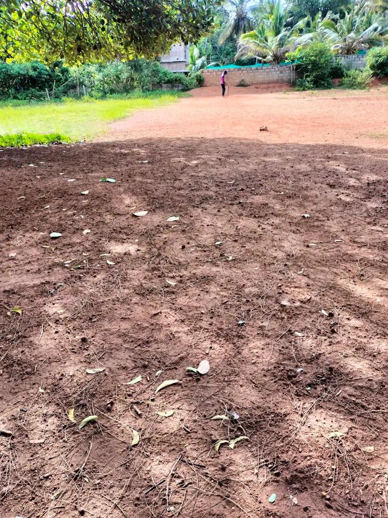 Alliyanzz cricket ground photo 2