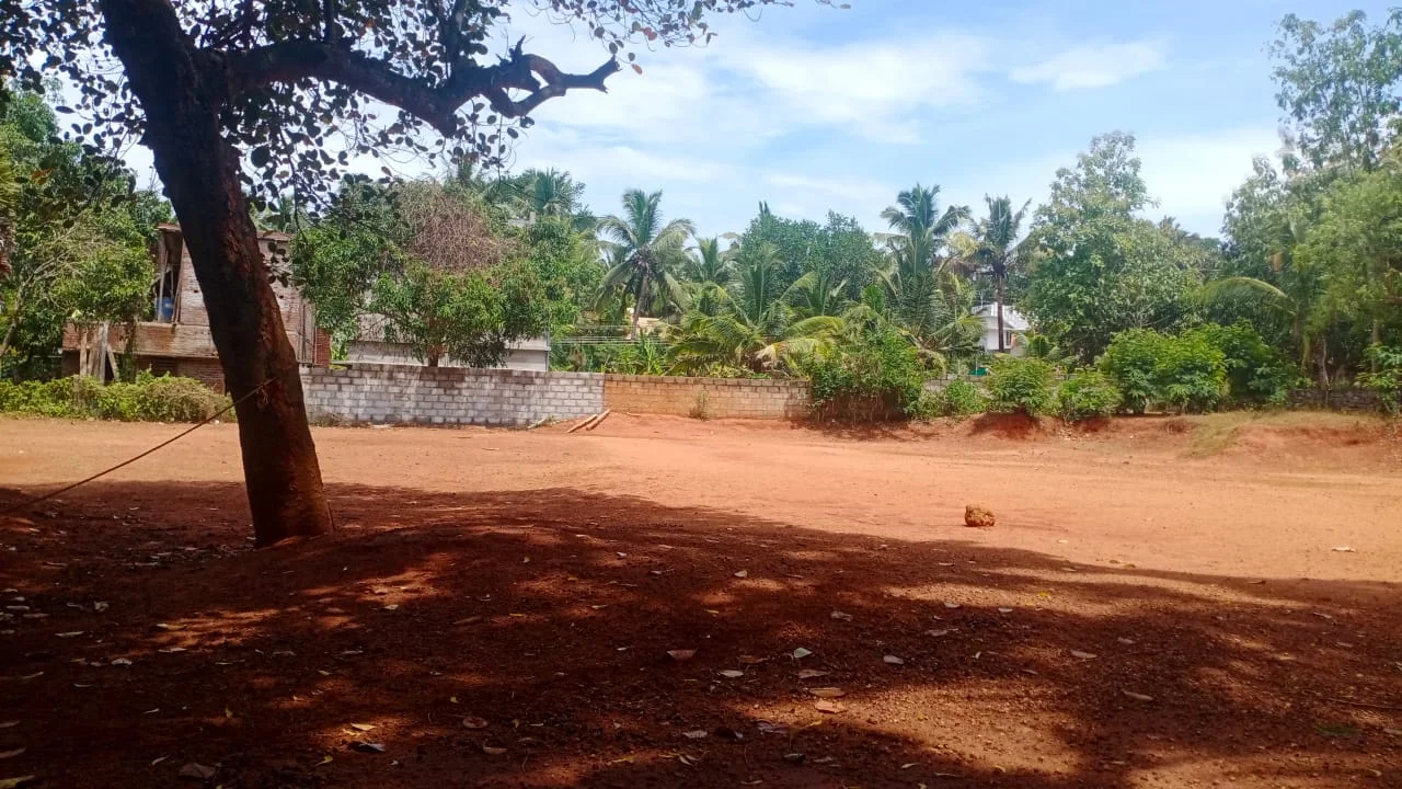 Alliyanzz cricket ground